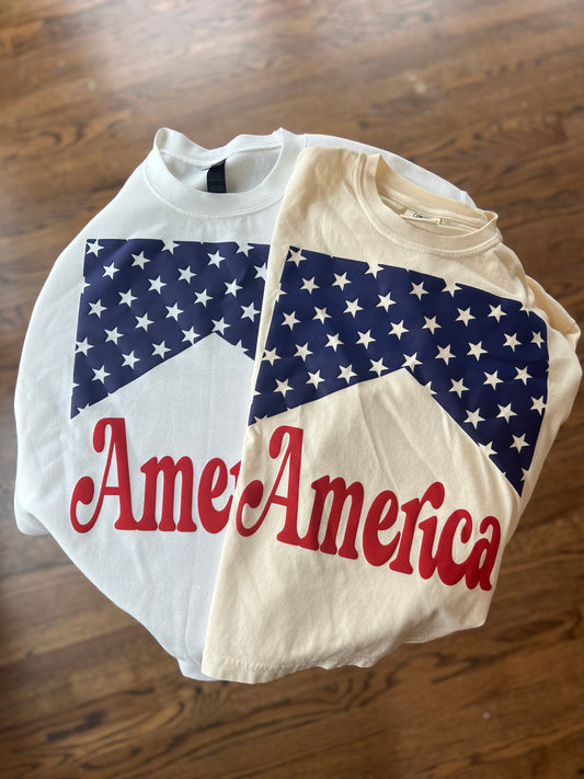 America Boxy Tee