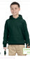 Wild Haven Microschool Hoodie